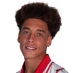 Axel Witsel