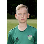 Karl Andreas Hinrikus