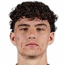 Dominik Nisandzic
