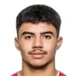 Aiman Dardari