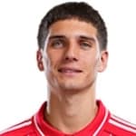 Nicolás Domínguez