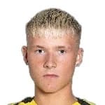 Armann Ingi Finnbogason