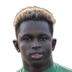 Cheik Alioune Sylla